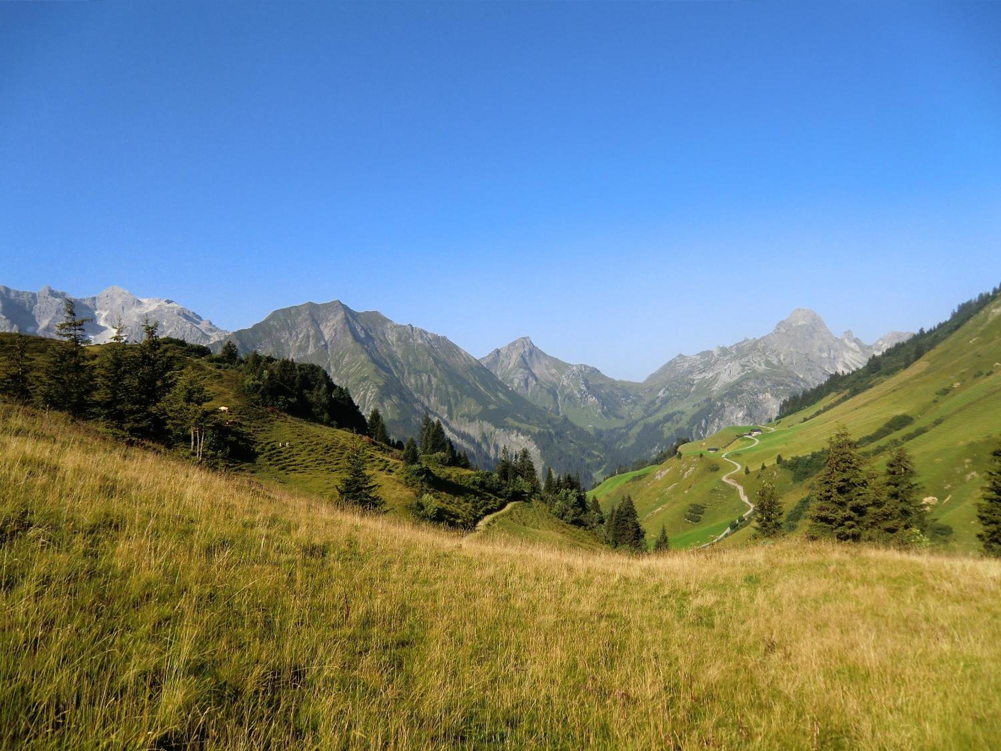 Haus Rothorn Leilighet Schröcken Eksteriør bilde